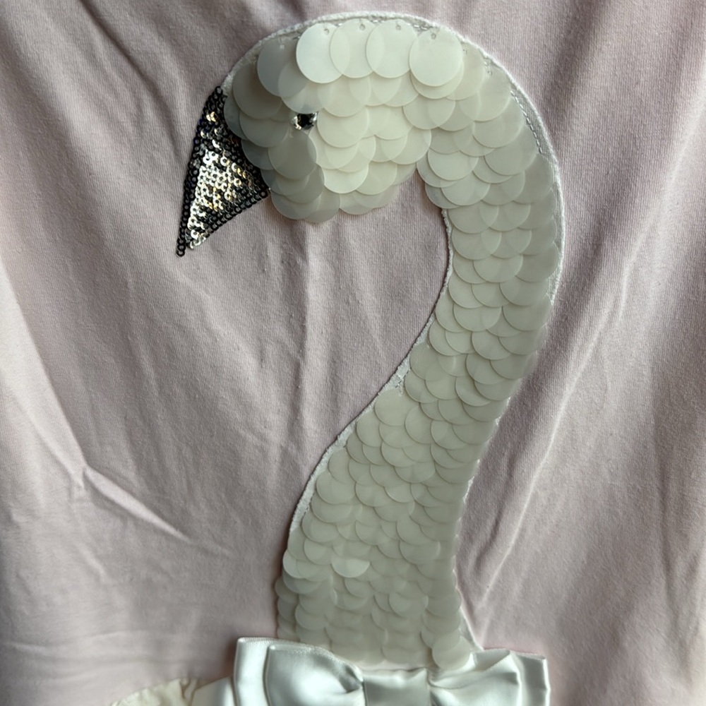 Biscotti dress girls size 8 - Picture 4 of 12